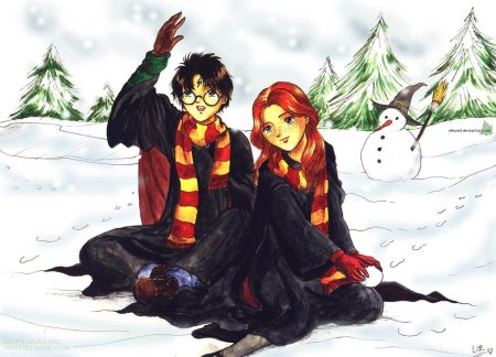 Гарри поттер рон и гермиона