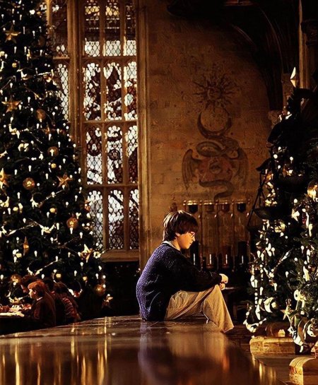 Гарри поттер рождество