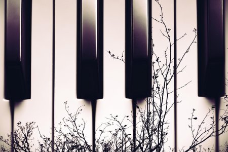 Клавиши пианино