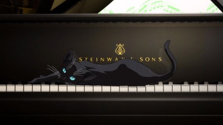 Кот на пианино