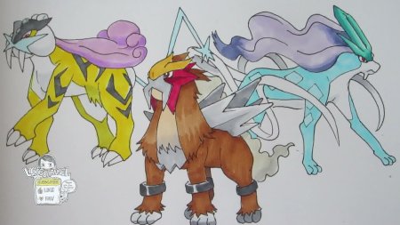 Легендарный покемон райкоу