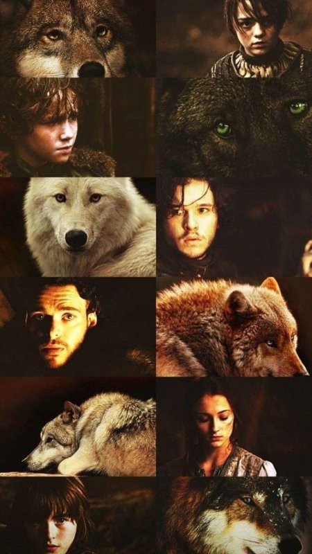 Игра престолов лютоволки старков