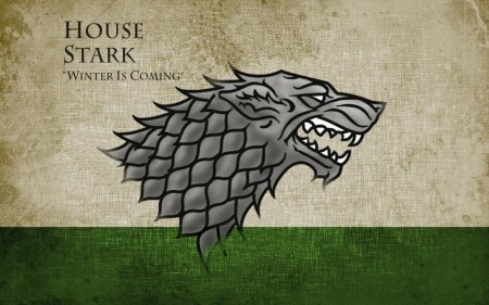Дом старков игра престолов знамя