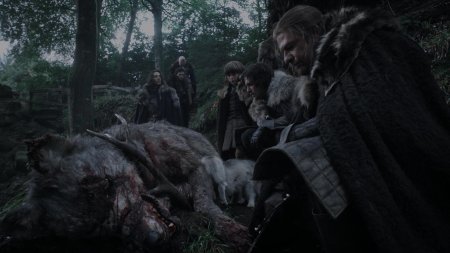 Игра престолов волки старков