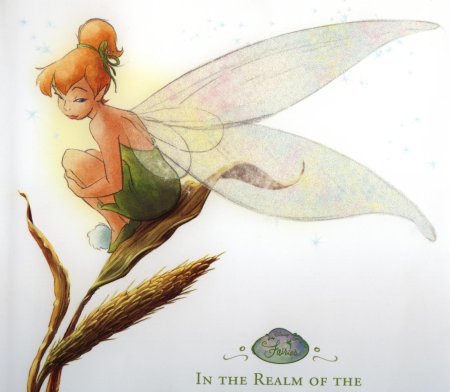 Disney fairies pixie hollow