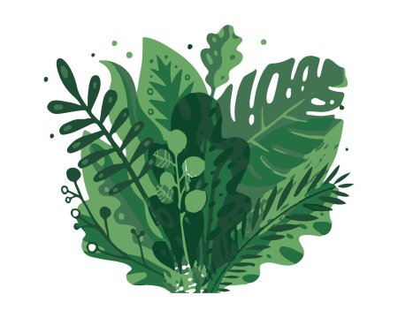 Папоротник куст