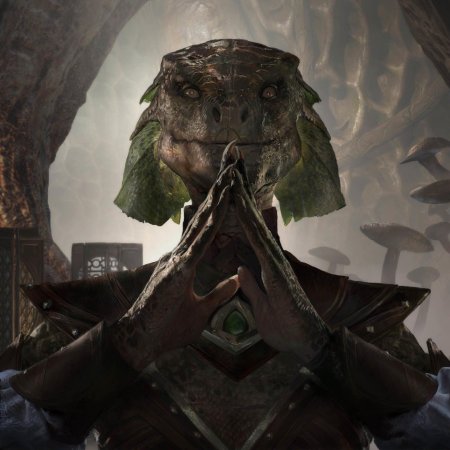 The elder scrolls аргонианка