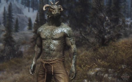 Аргонианин скайрим