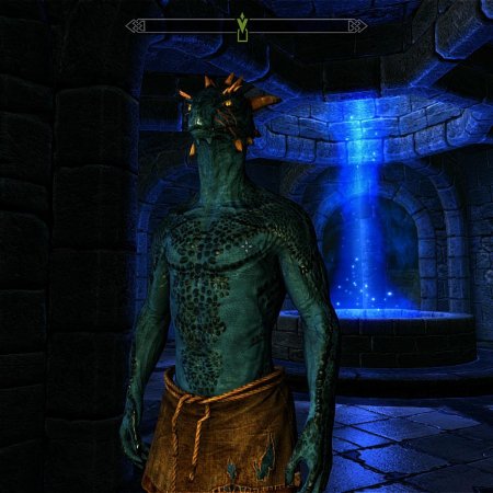 Аргониане даггерфолл