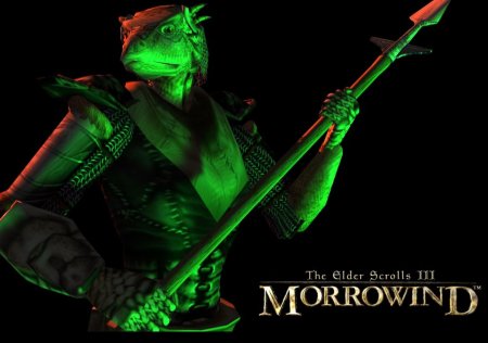The elder scrolls iii: morrowind