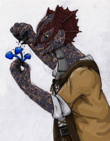 Аргониане скайрим