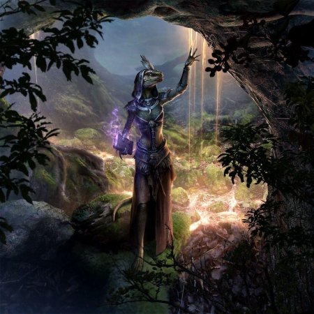 The elder scrolls online аргонианин