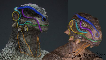 Аргониане раса