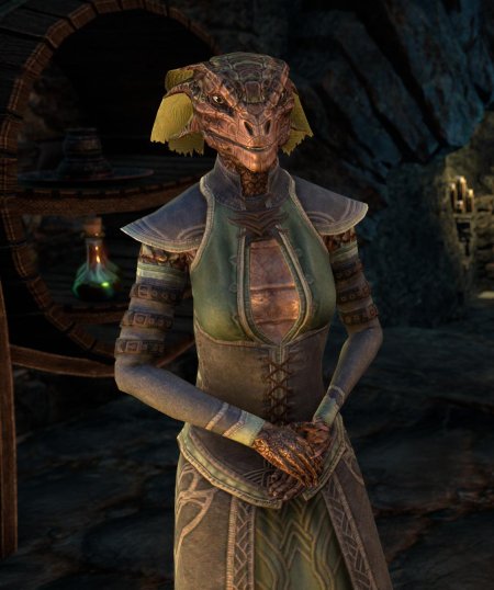 The elder scrolls online аргониане