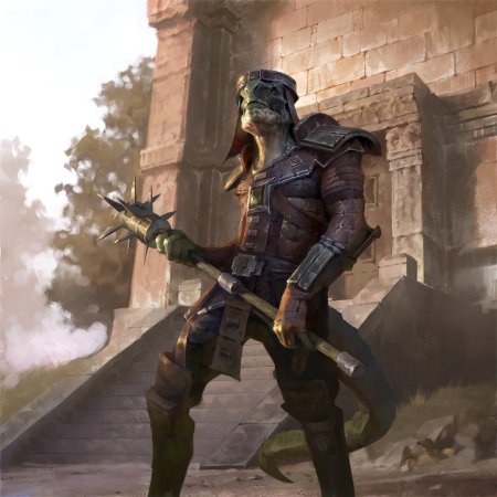 The elder scrolls аргонианин