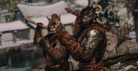 Каджиты и аргониане