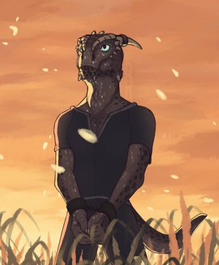 Скайрим аргониане