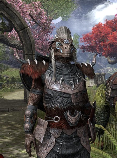 Аргонианин тесо