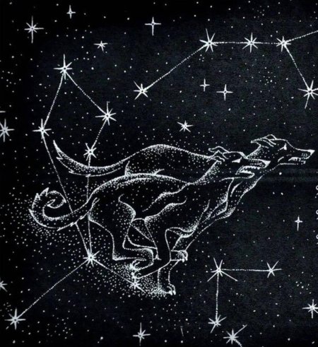 Гончие псы созвездие