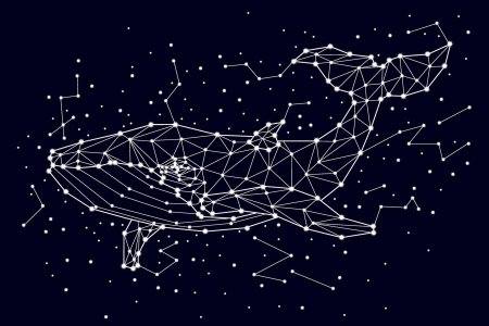 Созвездие кит