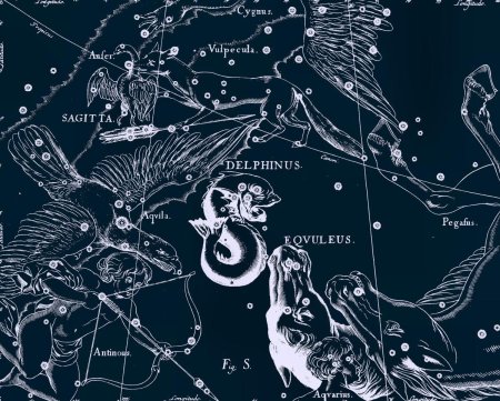 Ян гевелий созвездия