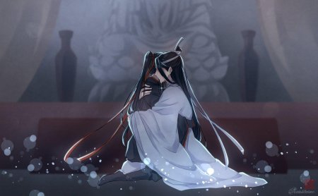 Магистр дьявольского культа вэй усянь