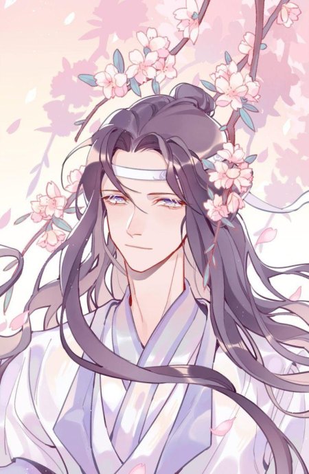 Магистр дьявольского культа лань ван цзи