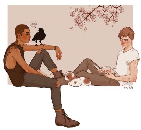 Мэгги стивотер воронята