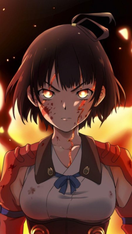 Кабанери железной крепости аниме