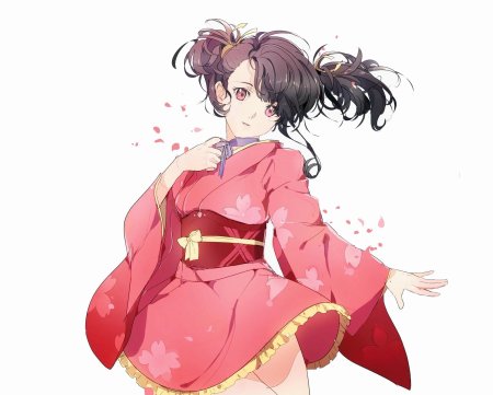 Кабанери железной крепости