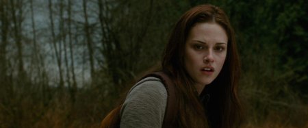 Сумерки сага белла