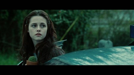 Белла свон сумерки 2008