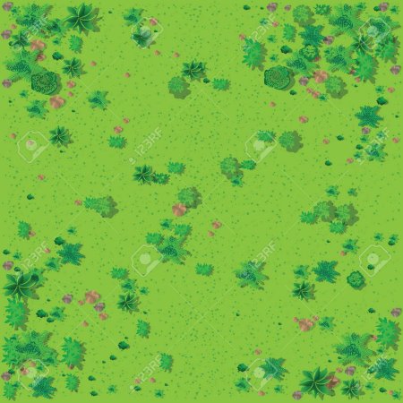 Лесная поляна вид сверху