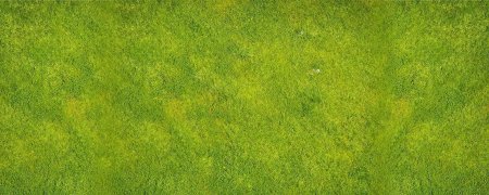 Зеленая трава