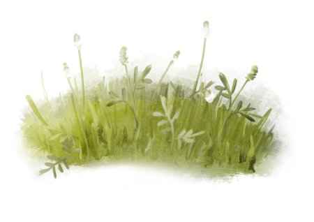 Трава акварель