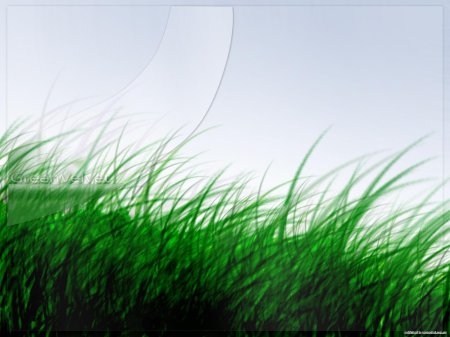 Зеленая трава