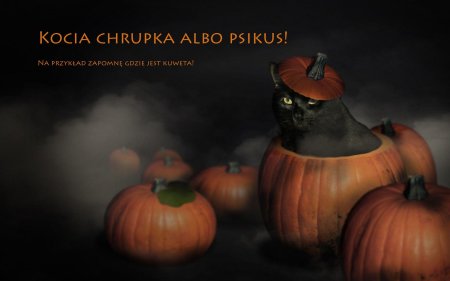 Хэллоуин кот