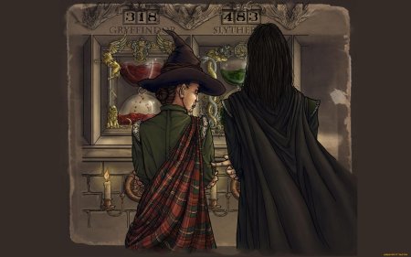 Гарри поттера минерва макгонагалл и снейп