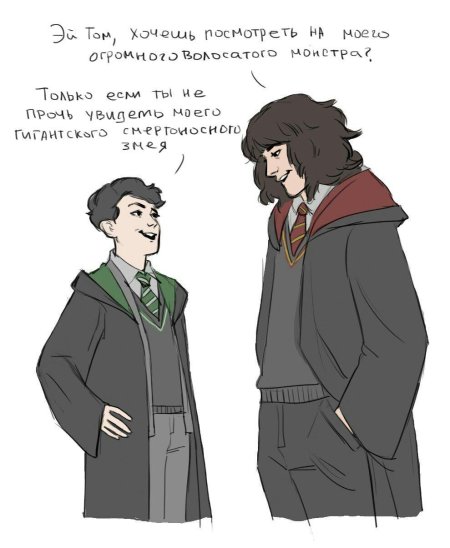 Том риддл и гарри поттер комиксы