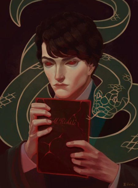 Гарри поттер и том реддл