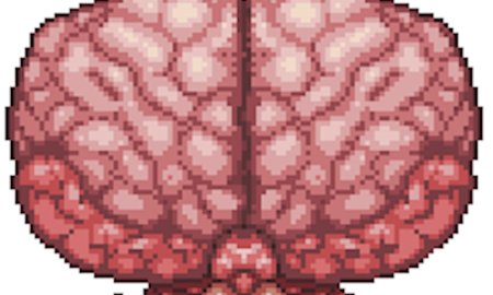 Террария босс мозг