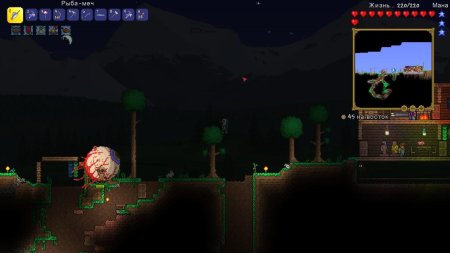 Босс глаз террария