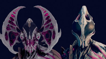 Нидус миксини