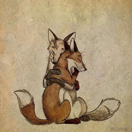 Лисы кульпео фокс