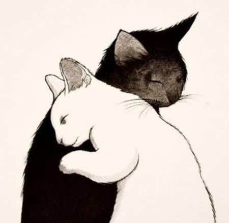 Котики обнимаются рисунок