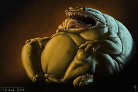 Гигантская жаба днд