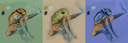 Лягушка акварелью