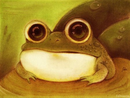 Рисунки милых лягушек