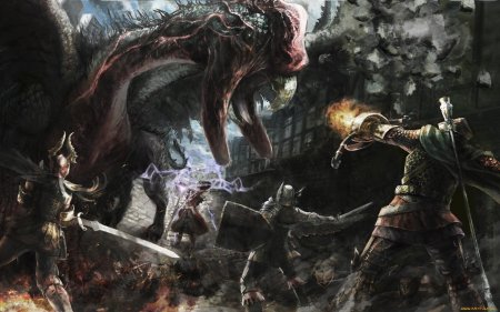 Dragon's dogma fighter art