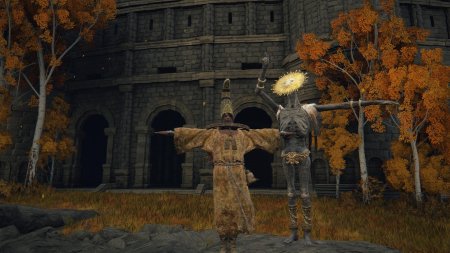 Elden ring shadow of the erdtree